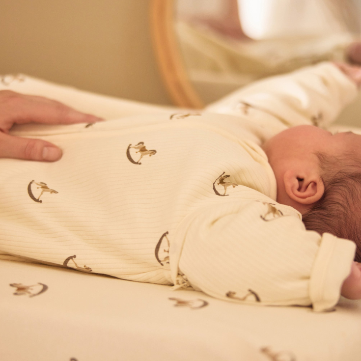 Jollein Baby Sleeping Bag with Removable Sleeves 110cm - Lovely Birds