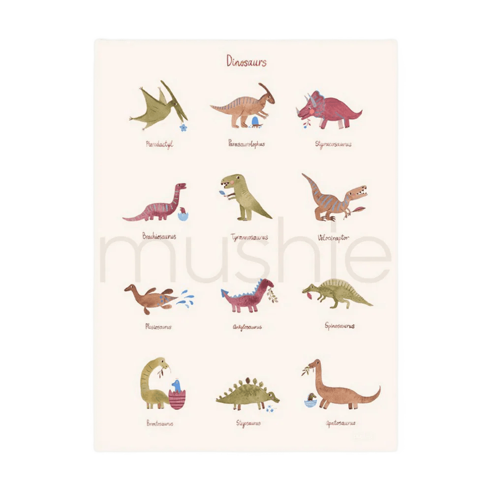 Mushie - Baby & Kids Decoration - Dinosaurs Poster - Large - Tummy Time