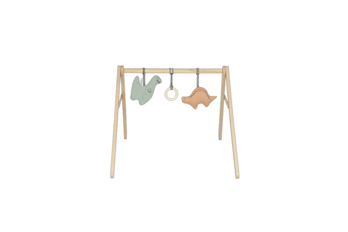 Nobodinoz Baby Gym with Toys Playground - Dinos, wooden baby gym viewed from the front