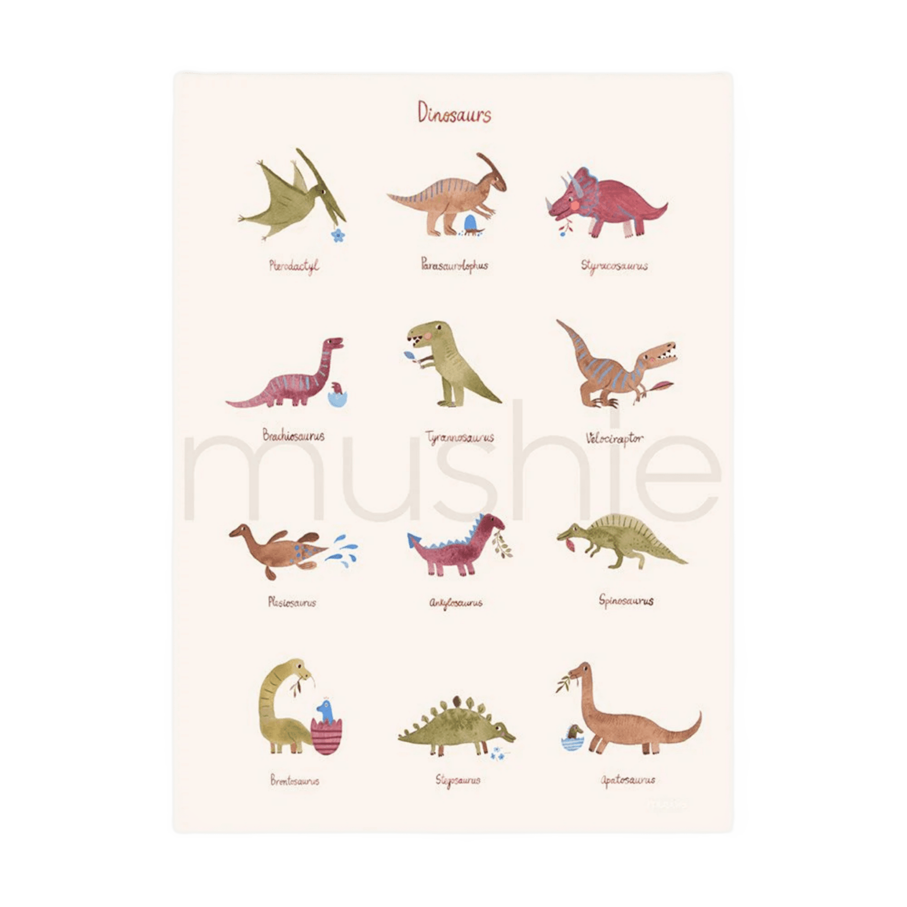 Mushie - Baby & Kids Decoration - Poster - Dinosaurs - Tummy Time