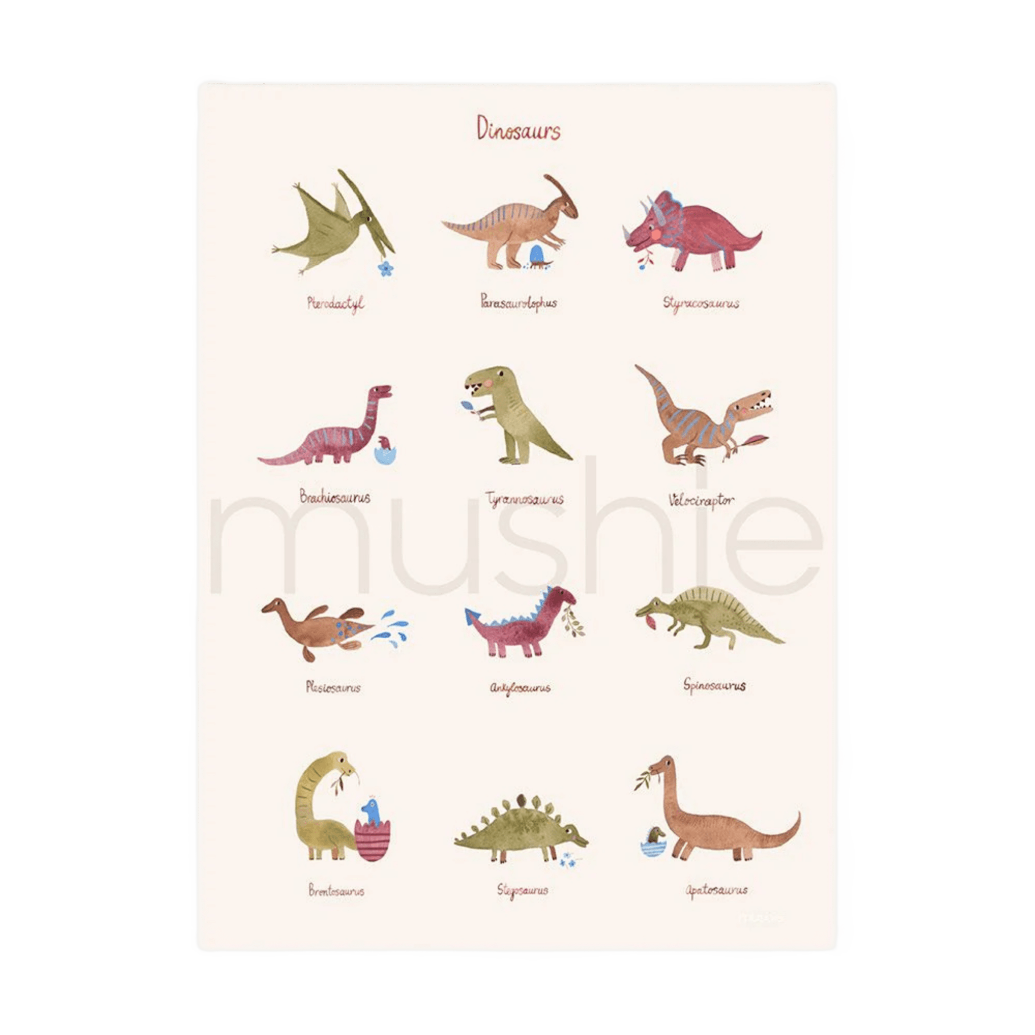 Mushie - Baby & Kids Decoration - Poster - Dinosaurs - Tummy Time