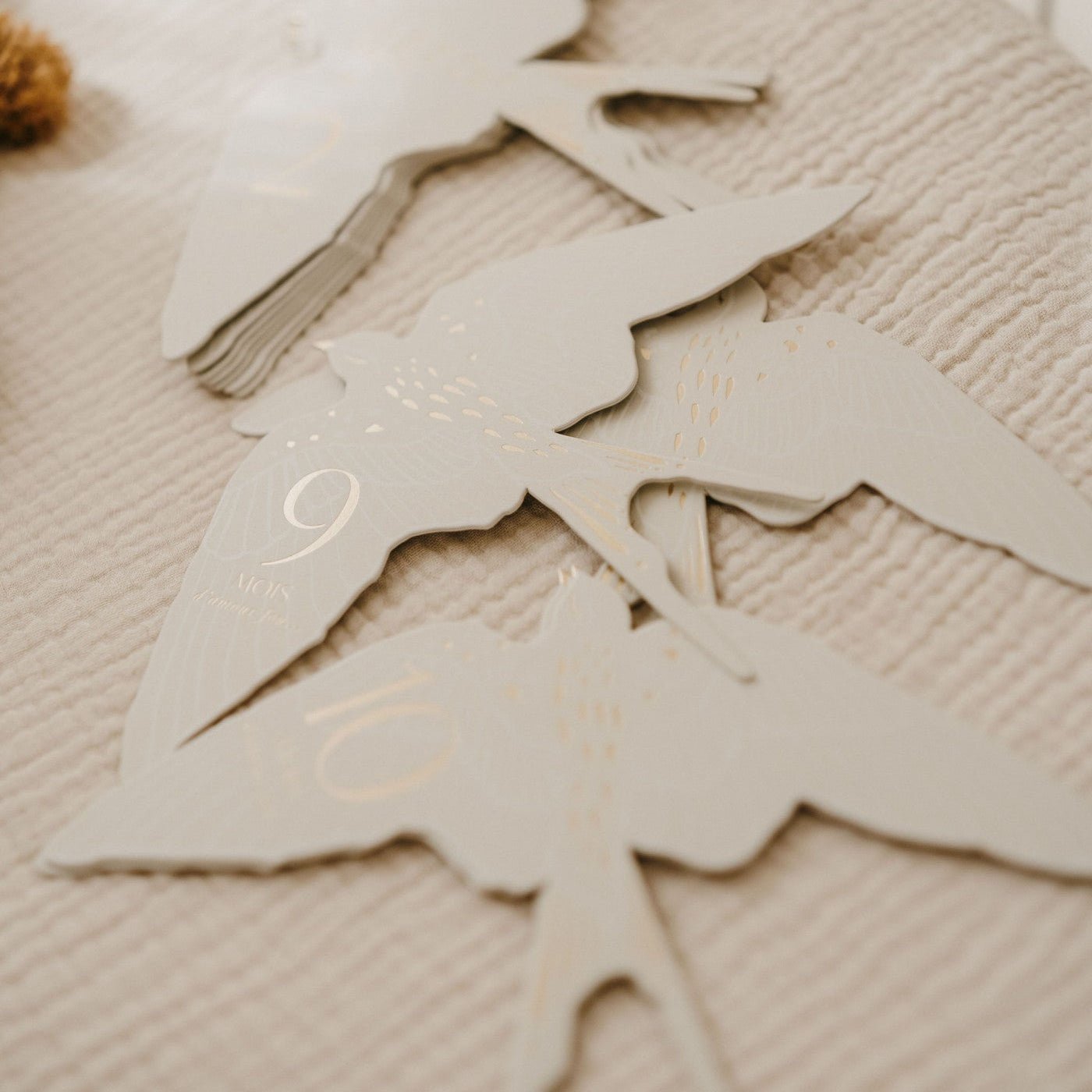 Zakuw - Baby & Kids Decoration - Milestone Cards - Birds - Tummy Time